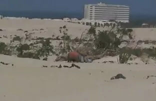 XXX درخشش برهنه احلى سكسي كويتي برهنه.